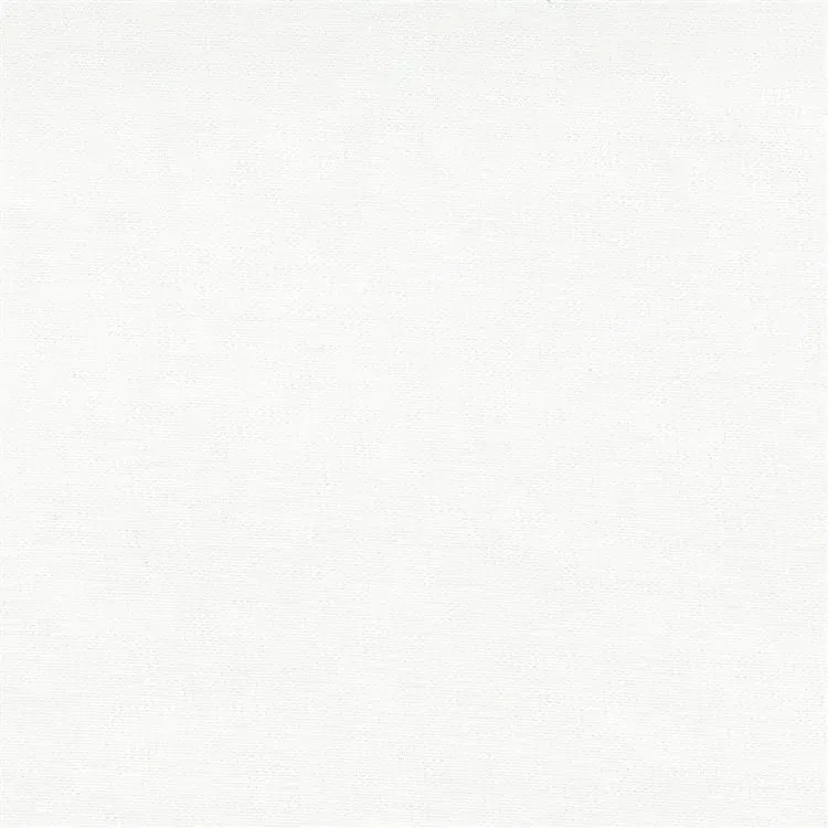 Lara, permatomas (tiulis), užuolaidų audinys, spalva White 01